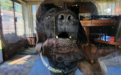 after listing a house your days aren’t typical