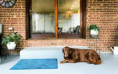 the 80’s house has a metal box