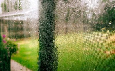 i hope there won’t be a showing today