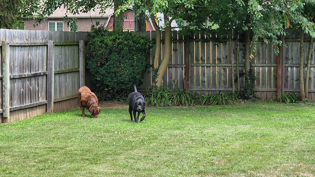 the bad b*tches of Lasher Drive