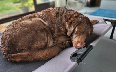 this ain’t no new build