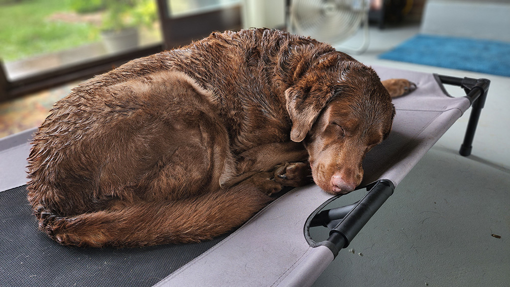 this ain’t no new build