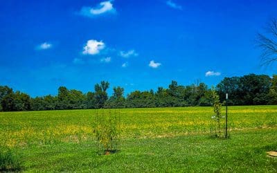 one of the things I miss most