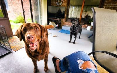 checking out a home tomorrow to avoid being homeless