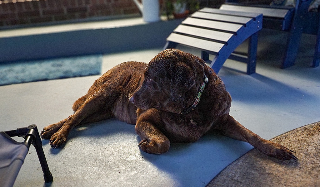 check, check and check