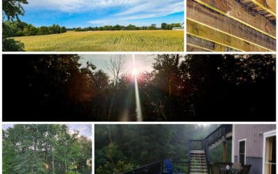 can you put in a driveway in the rain?