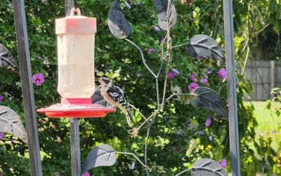 the struggle is real and i’m really struggling