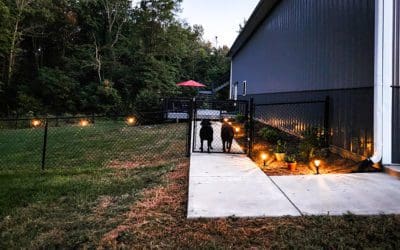 here but not an owner