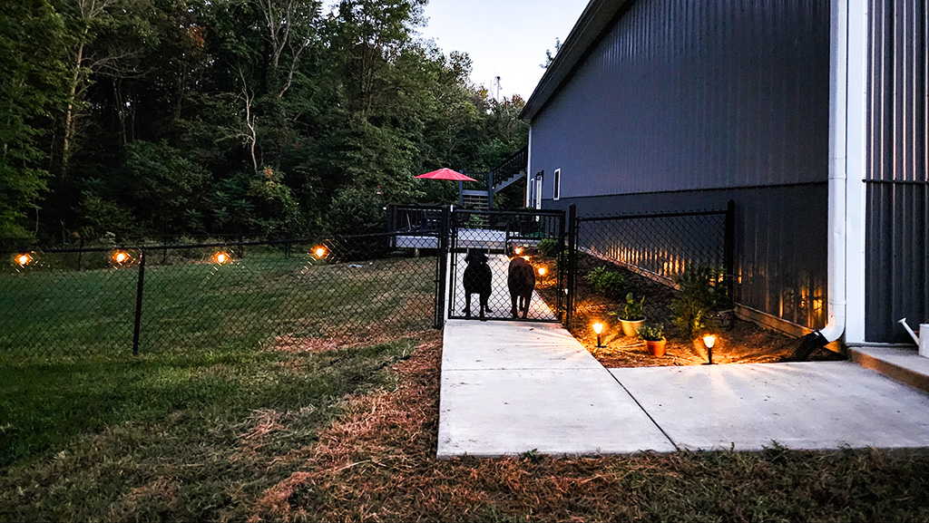 here but not an owner