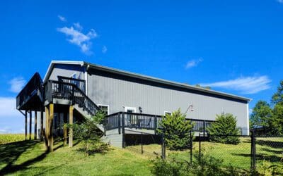 stridulation in the ville