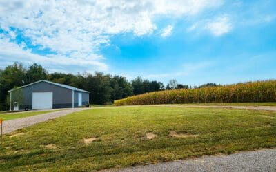 ralph and the bermuda triangle