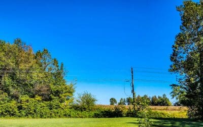 C’mon trees — show us some colors!