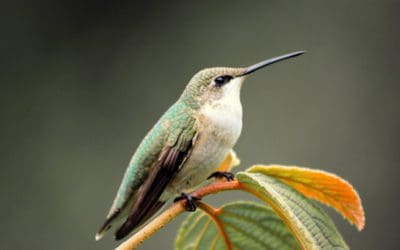 new driveway is incoming