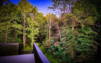 almost like vacation… but not quite