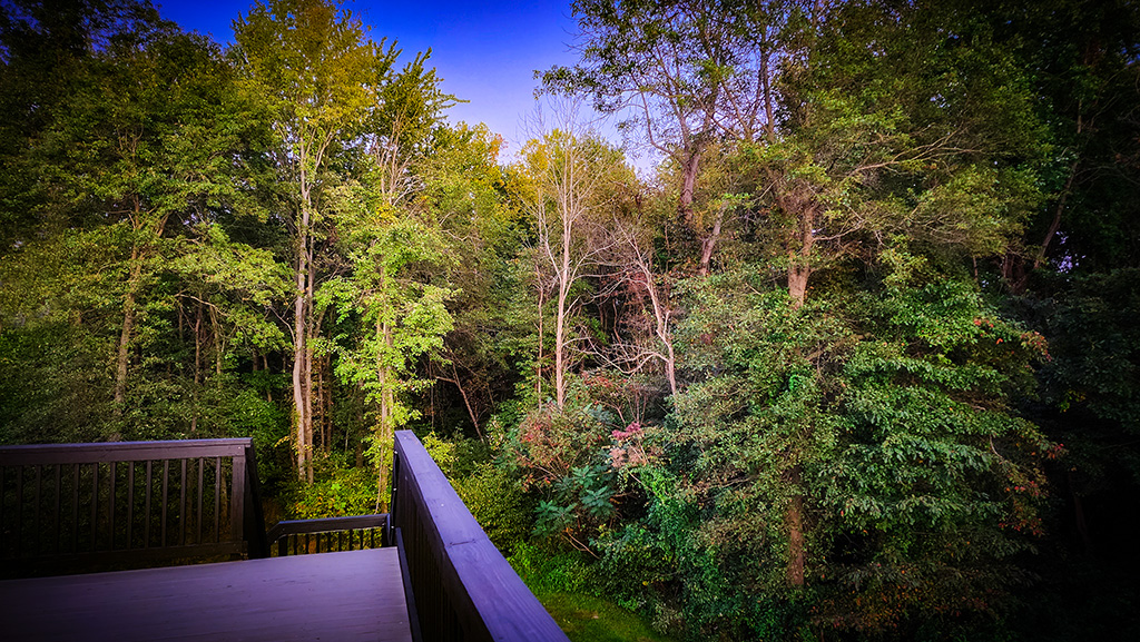 almost like vacation… but not quite