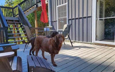 the paint color challenge for a closing slated for 10/12/22