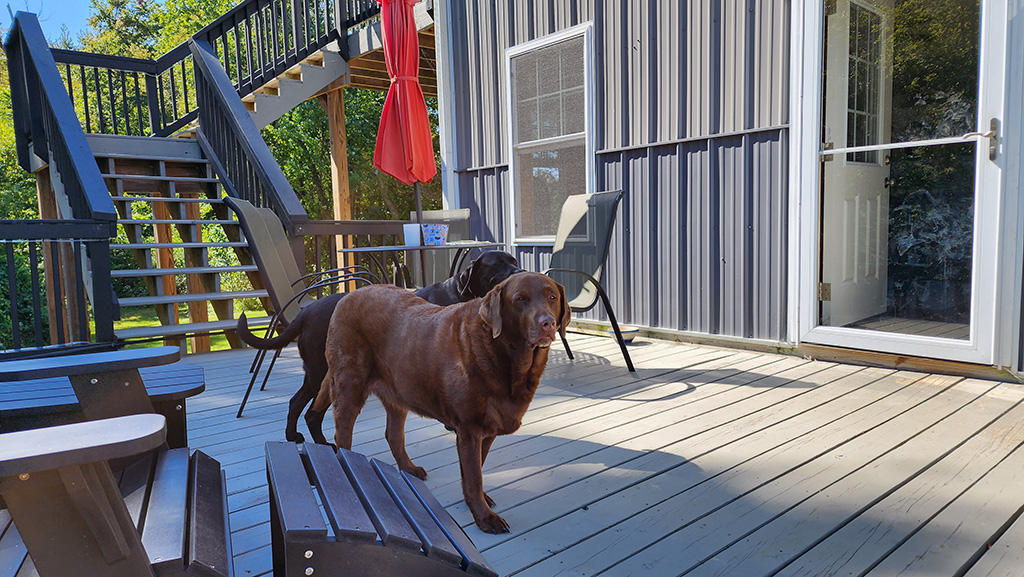 the paint color challenge for a closing slated for 10/12/22