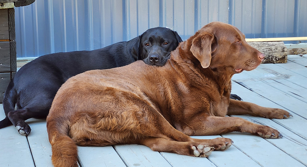 heating and air guy coming today – probably
