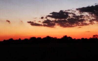 a week of treading water