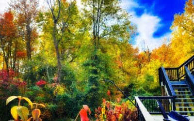 big fart has been disabled