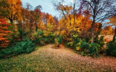 where’s Duke Energy when ya need ’em?