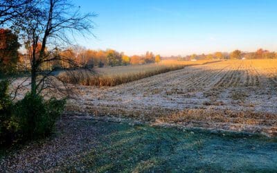 there’s frost on the pumpkin
