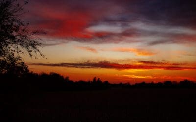 sunset #3 of 52 – it’s a do-over