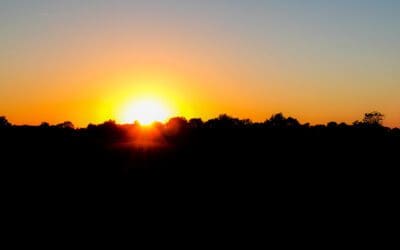 i may be fat and old, but i’m a homeowner again