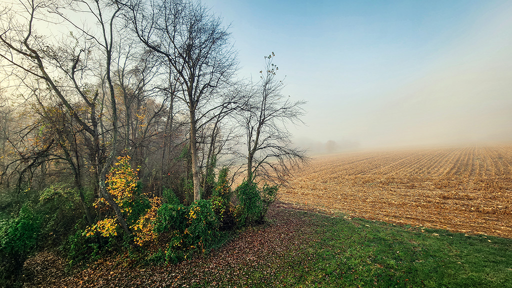 what wikipedia won’t tell you about the Ville