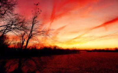 sunset photo: week #6 of 52