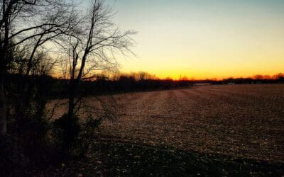 sunset week #7 of 52