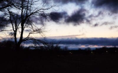 sunset #12 of 52 — you have to be dedicated to get photos when it’s cold