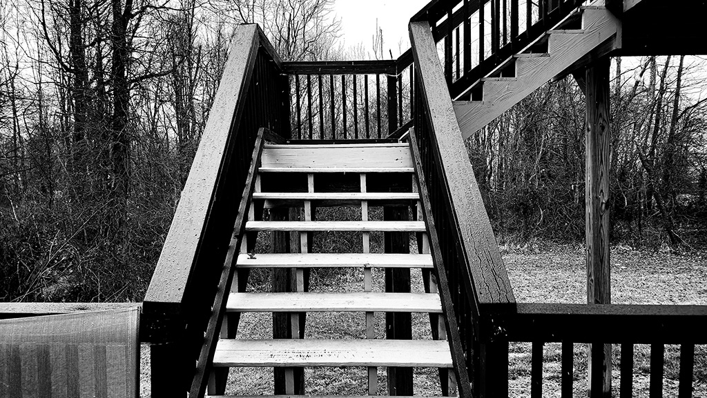 to chicken or not to chicken?