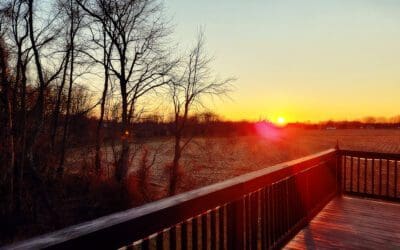 my favorite brother visited the barndo