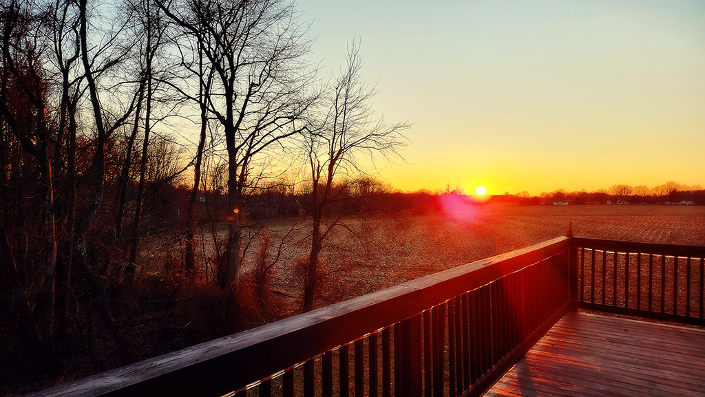 my favorite brother visited the barndo