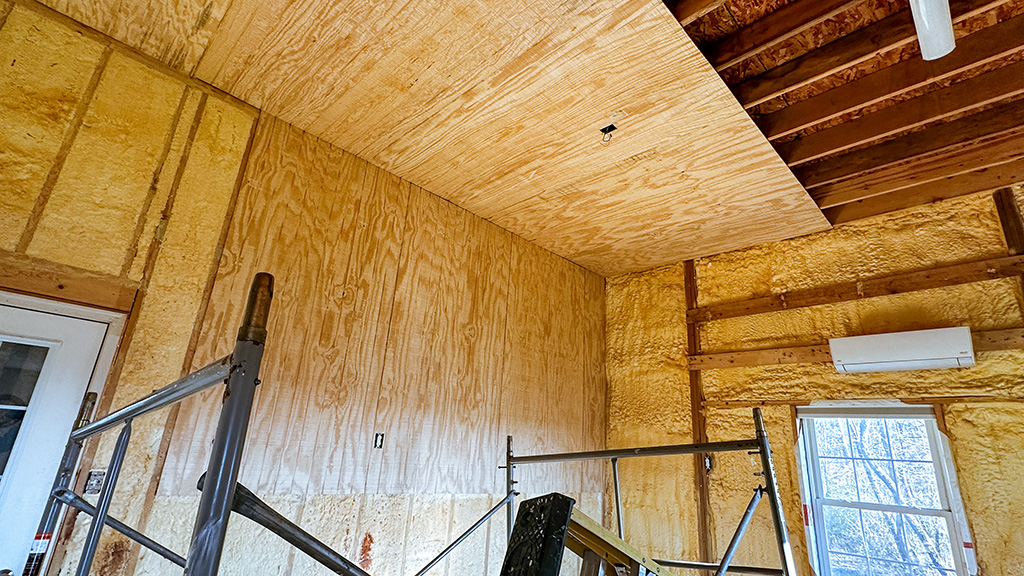 after barely escaping death by noravirus…