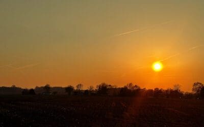 Sunset #27 of 52 – and i have dumb tulips