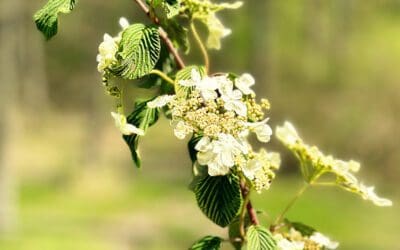 we will sweat tomorrow