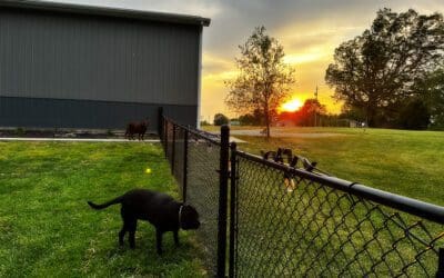 sunset #30 of 52 and i’m ready to swim