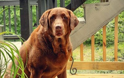 a bad back and bad air — what’s up with that?