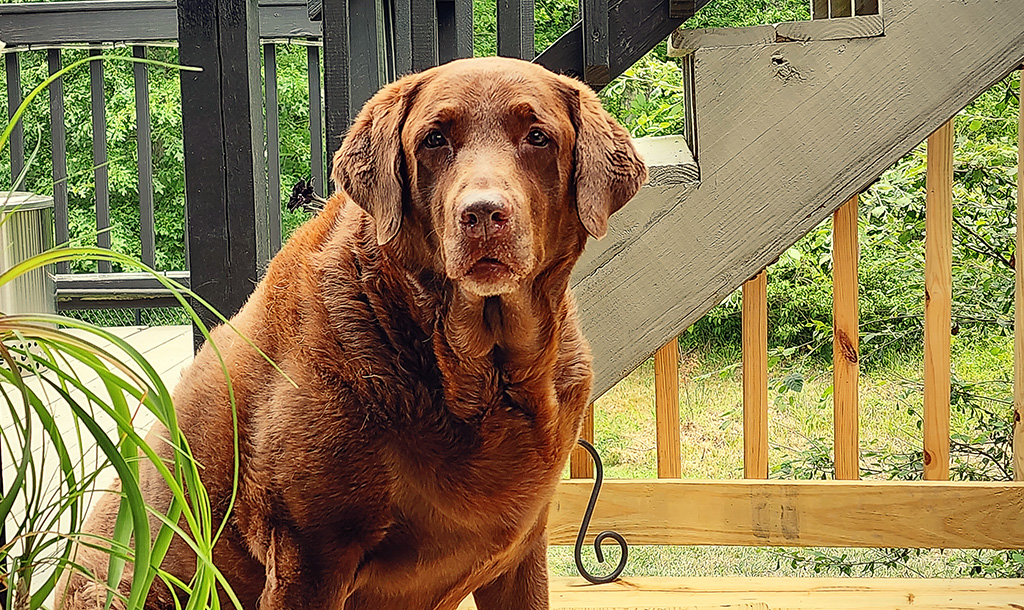 a bad back and bad air — what’s up with that?