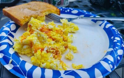 what kind of diet shall i try this time?