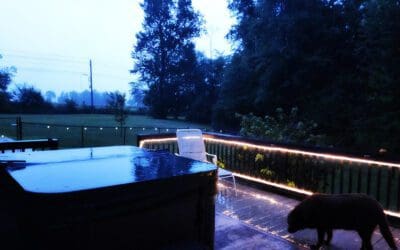 i’m hungry, and why yes, that’s thunder