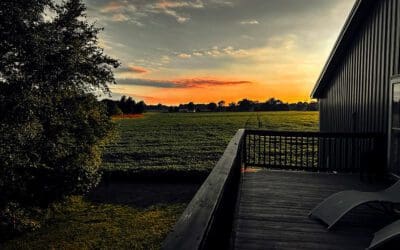 only 9 more sunsets to make it for a full year – #43