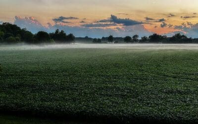 more rain and sunset #41 of 52