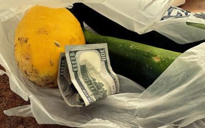 intermittent fasting and sunset #42 of 52