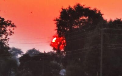 sunset #49 taken by a guest photographer