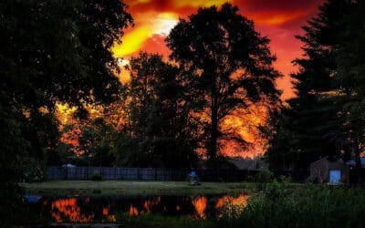 is this sunset #48 already??