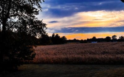 home from Disney and it’s fall ’round here