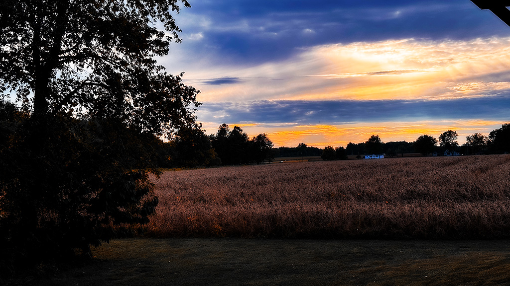 home from Disney and it’s fall ’round here